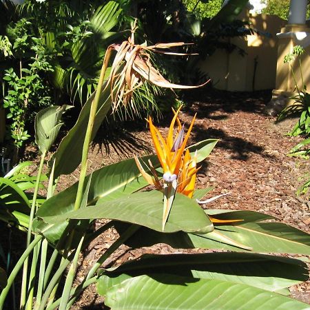 Ashanti Gardens Guesthouse Cidade Do Cabo Exterior foto