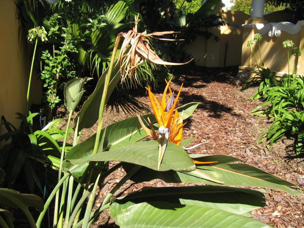 Ashanti Gardens Guesthouse Cidade Do Cabo Exterior foto